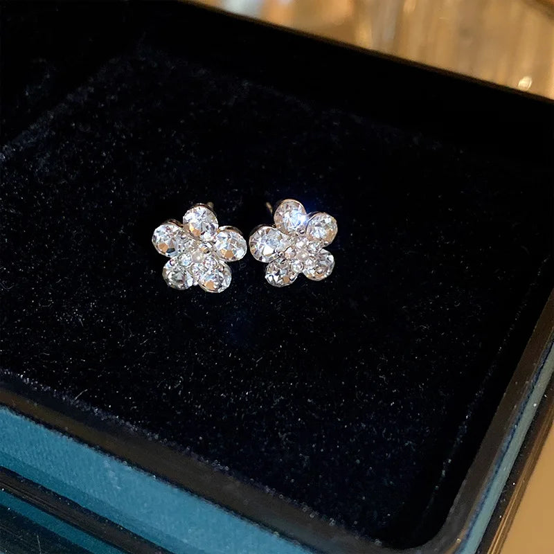 Zircon Stud Earrings