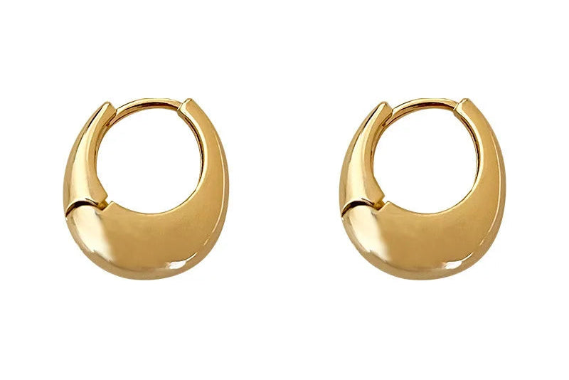 Oval Elegant Earrings, 3D Metal Design